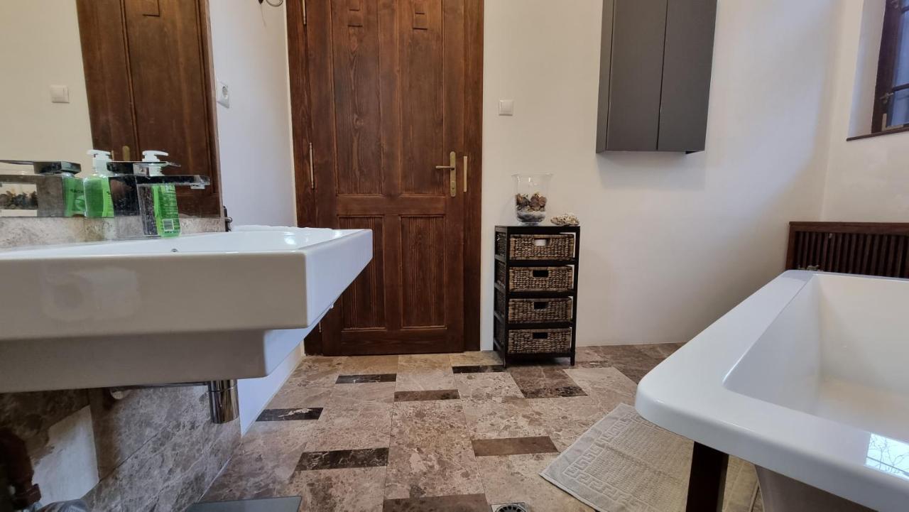 Neuhausz Suite - Ultracentral Timişoara Exterior foto