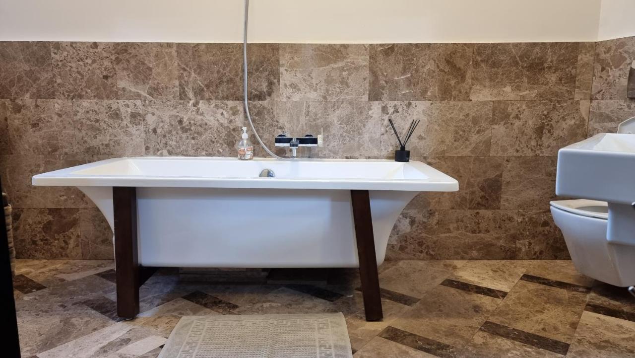 Neuhausz Suite - Ultracentral Timişoara Exterior foto