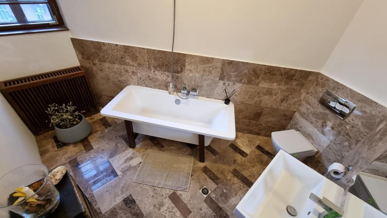 Neuhausz Suite - Ultracentral Timişoara Exterior foto